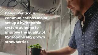 SDSU's Summer Undergraduate Research Program (SURP) Offers Remote Opportunities