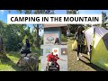 Camping in the Blue Mountain I Holywell Park Jamaica I Blue Brews Bistro| Things to do in Jamaica