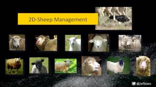 The naked sheep: Jef Staes at TEDxFlanders