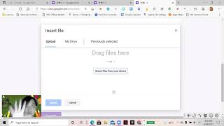 如何在谷歌表單上傳答案 How To Add a File in the Google Forms