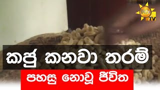 කජු කනවා තරම් පහසු නොවූ ජීවිත - Hiru News