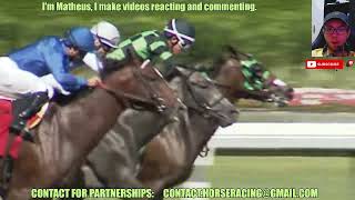 Prevent wins at Gulfstream Park Apr, 12 2024 Horse Racing RESULTS Bet