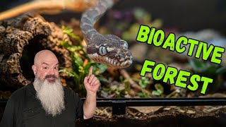 Bioactive Enclosure Setup For ANY Small Snake - This One Is A Rough-Scaled Python!