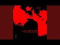 KINESIS