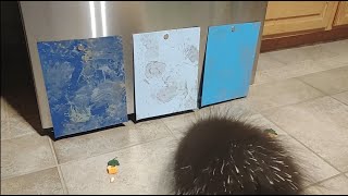 Squeak Picks A Painting