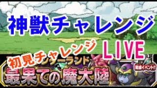 【DQMSL】 神獣チャレンジ　初見攻略LIVE　09/30