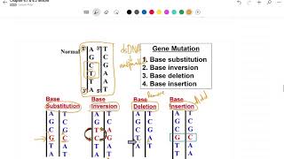 Chapter 6 Gene Mutation