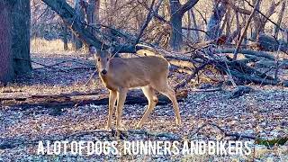 Bdote at Fort Snelling - Minnesota (1/31/25)