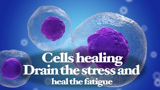 Cells healing - Drain the stress and heal the fatigue in the body