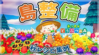 【あつ森】久しぶりにまったり島整備🍂秋レシピも集める！#49