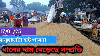 17 January 2025 আজকের ধানের বাজার দর দর বেড়েছে | paddy rice market price rates in Bangladesh