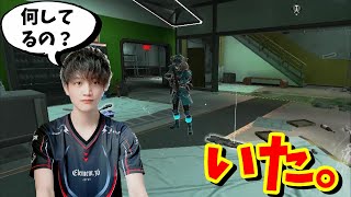 【APEX】複数部隊で大乱闘してる最中にありえない敵と出会って笑い転げたｗｗｗｗｗ with銀仮面さん、風花たな【LEGENDS】【エーペックスレジェンズ】