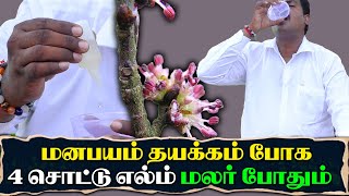 மனபயம் தயக்கம் போக 4 சொட்டு எல்ம் மலர் போதும்,நலமுடன் வாழ்வோம்,Nalamudan Vazhvom