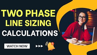 Two Phase Line Sizing Calculations | Process Design Engineering | Chemical | PAYO'S Academy | #viral