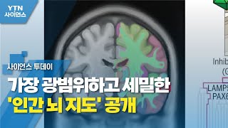 가장 광범위하고 세밀한 '인간 뇌 지도' 공개 / YTN 사이언스