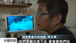 20140510 公視中晝新聞 墾丁野生大石斑不見蹤影 疑遭人盜捕