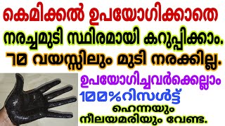 ഇനി ഹെന്നയും നീലയമരിയും വേണ്ട ഈ ഒരു പൊടി മതി നരച്ചമുടി സ്ഥിരമായി കറുപ്പിക്കാം|Natural Hairdye