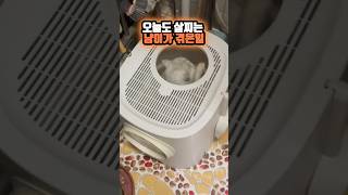 오늘도 살찌는 냥이가 겪은 일  #쇼츠 #고양이 #냥이 #냥냥이