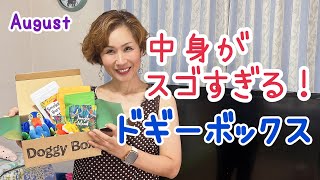 中身が凄すぎる！【ドギーボックス8月】