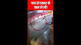 Dadra Nagar Haveli में जानलेवा Road Accident | N18S