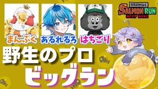 野生のプロ４人でタラポート破壊！！ビッグランコラボ（まんぷく,あるれるろ,はちごり）【スプラトゥーン3/サーモンランNW】