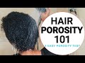 Hair Porosity 101 | 5 Easy Hair Porosity Tests ( Test Your Porosity Level )