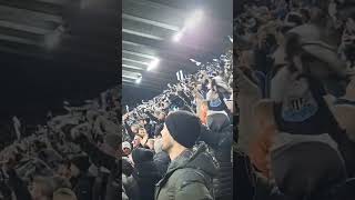 🎶 We're Going to WEMBLEY! Newcastle Fans at Full Time