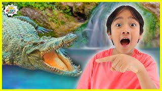 Ryan  Learns Alligator Facts for Kids! | Educational Video with Ryan's World