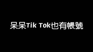 【呆呆】Tik Tok抖音 也有帳號哦