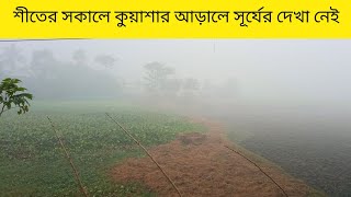 শীতের সকালে কুয়াশার আড়ালে সূর্যের দেখা নেই | Winter Morning |@Siplu2.0