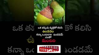 తప్పుడు వ్యక్తి |Telugu Motivational |#quotes #shorts