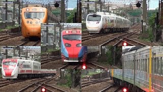 [Painted Trains in Taiwan] 樹林站彩繪列車合輯！