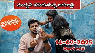 Jagadhatri Telugu | Ep - 465 | Today Episode | Feb 14 2025 | Zee Telugu | Telugu Serials |