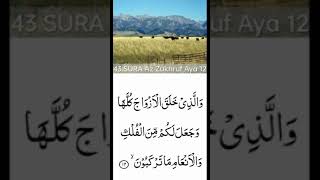 Surah Az Zukhruf  ki tilawat o tajweed sath ayat no 12  سورۂ* زخرف *  کا تلاوت و تجوید کے ساتھ