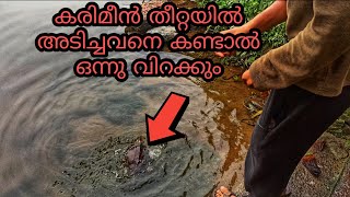 കരിമീൻ തീറ്റയിൽ അടിച്ച ആളെ കണ്ടു ഞെട്ടി  #biggestturtle#കരിമീൻപിടുത്തം#fishingworldchannel