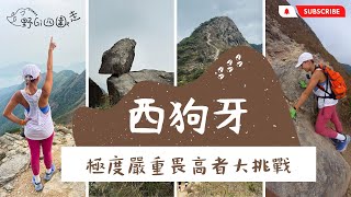 香港行山| 極度畏高者最後會唔會要敗走西狗牙呢？ |  究竟去行山定爬石 | 爬石爬到懷疑人生 | 畏高點爬呀？ | 航拍