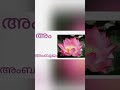 malayalam alphabets malayalam aksharamala മലയാളം അക്ഷരമാല സ്വരാക്ഷരങ്ങൾ