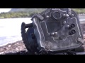 aquatech product testing in tahiti delphin 1d canon 1dx