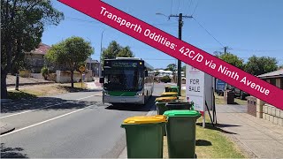 43M via Maylands Shopping Centre - Transperth Oddities