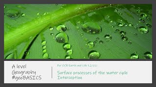 Water Cycle Interception
