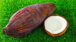 VALAIPOO RECIPE - VALAIPOO VADAI - VAZHAIPOO VADAI - வாழைப்பூ வடை - SNACKS RECIPE - BANANA FLOWER