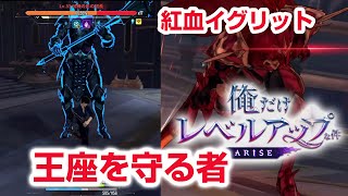 【俺アラ攻略】紅血イグリット 影の団長 Chapter8王座を守る者 俺だけレベルアップな件：Arise