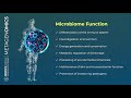 01  - Introduction to Metagenomics