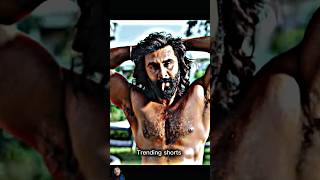 ANIMAL X KAAYI ...🔥• RANVEER KAPOOR ATTITUDE [4K] QUALITY HDR EDIT...PT15 #animal #ranbirkapoor