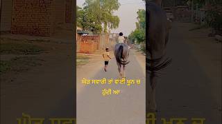 ਘੋੜ ਸਵਾਰੀ ਤਾਂ ਖੂਨ ਚ ਆ ਮਿੱਤਰਾ #shonkisardar #sukhjinderlopon #trending #horselover