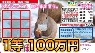 リベンジ!!【8ラインスクラッチ11 エゾリス タテヨコナナメ】1等目指して、10枚挑戦してみた！！