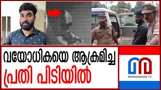 കൊല്ലത്ത് വയോധികയെ ആക്രമിച്ച പ്രതിയെ പിടികൂടി  I  KOLLAM