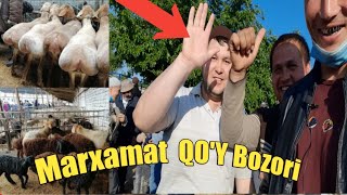 Marxamat Tumani QO'Y Bozori  |  Мархамат Тумани  КУ'Й Бозори 02.05.2021