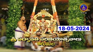 Sri Padmavathi Parinayotsavalu || Tirumala || Day02 || 18-05-2024 || SVBC TTD