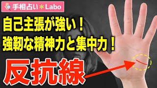 【手相占い】反抗線とは？【サクッと解説】